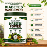 AYURCETRA Diabetes Power Powder | Ayurvedic Blood Sugar Support | 10+ Herbs | 200g